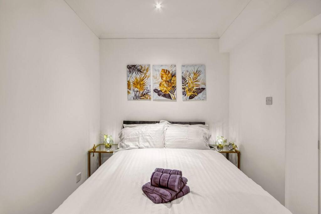 Luxury Oasis Leilighet London Eksteriør bilde